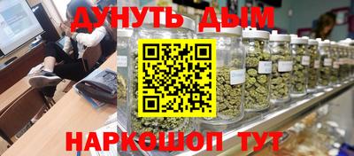 шишки Новозыбков