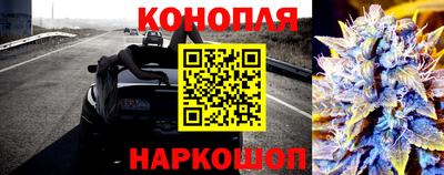 МДПВ Новокубанск