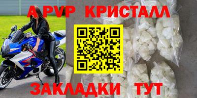 шишки Новозыбков