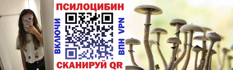 закладка  Ухта  Псилоцибиновые грибы мухоморы 
