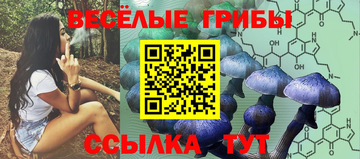 Ухта  Галлюциногенные грибы Psilocybe  Вход с VPN 