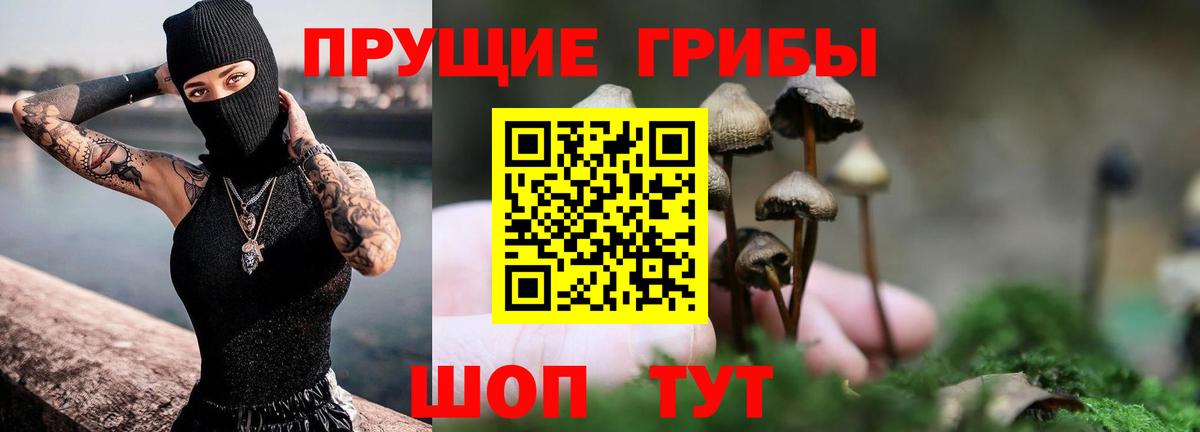 Псилоцибиновые грибы прущие грибы Ухта