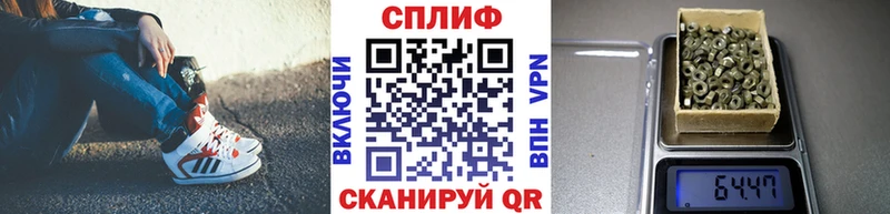 Бошки Шишки планчик  Ухта 